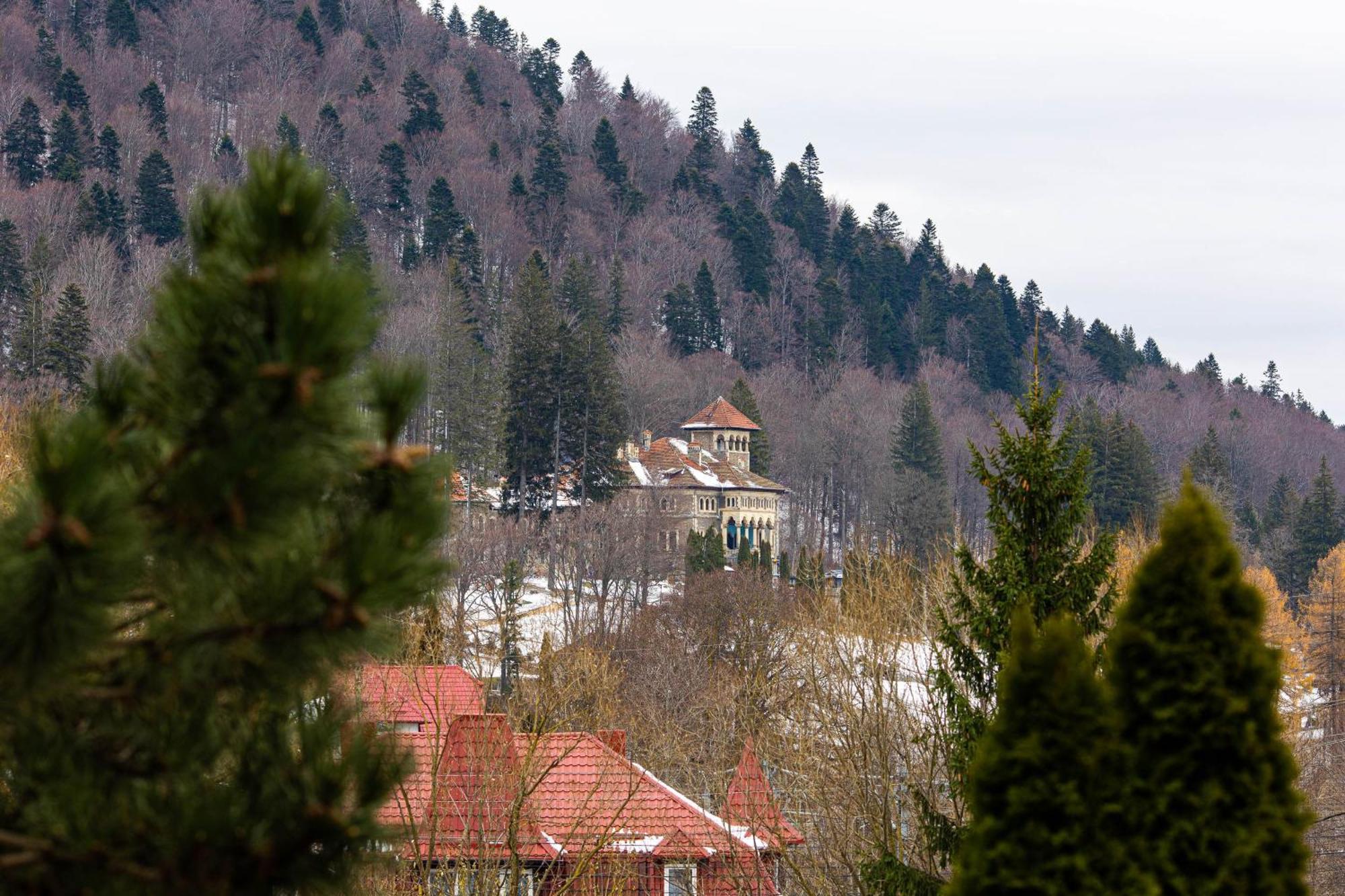 Hotel Alexandros Буштені Екстер'єр фото